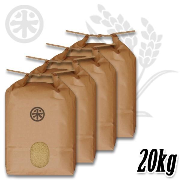 コシヒカリ 新潟米 令和7年産 玄米 新潟産コシヒカリ 20kg (5kg×4袋