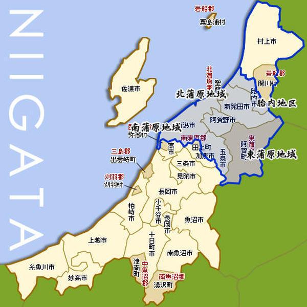 新潟米 令和7年産 玄米 新潟産コシヒカリ 20kg (5kg×4袋) 新潟米 お米 新潟県産 こしひかり 堀商店 送料無料 ギフト対応_6