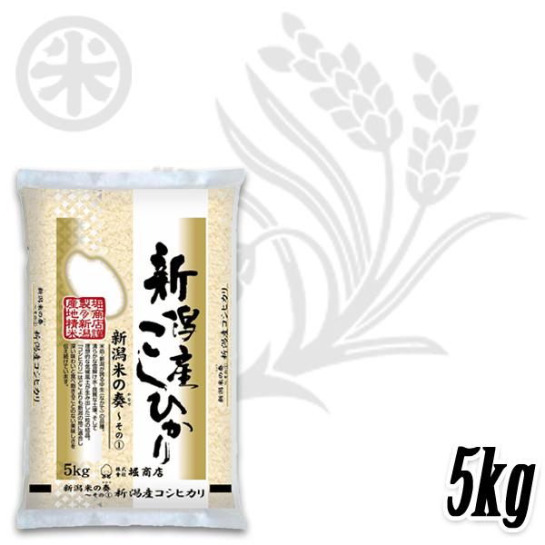 コシヒカリ 新米 令和7年産 新潟産コシヒカリ 新潟米の奏-1 5kg 10kg