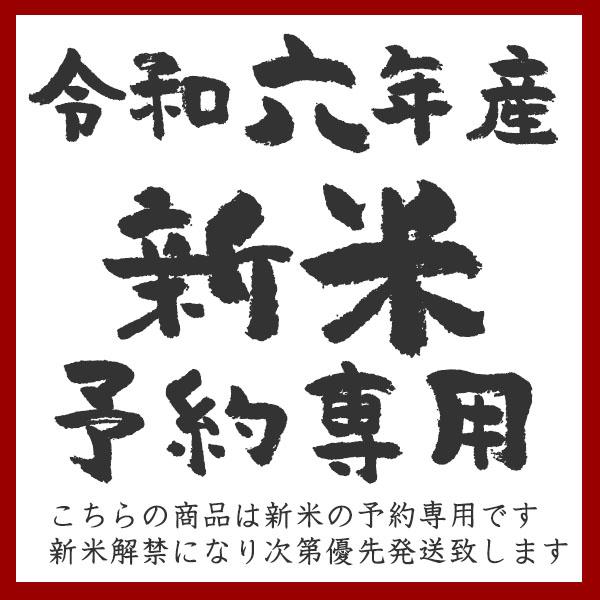 コシヒカリ 新潟米 予約 令和6年産 新潟産コシヒカリ 新潟米の奏-1 5kg 