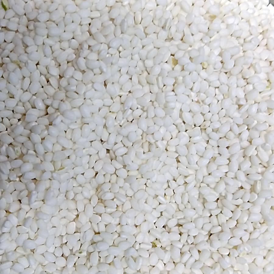 令和6年 新米 新潟県上越市産 もち米 30kg 新潟米 令和6年産 新潟産