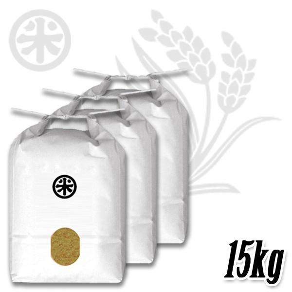 コシヒカリ 新潟米 令和7年産 玄米 魚沼産コシヒカリ 15kg (5kg×3袋