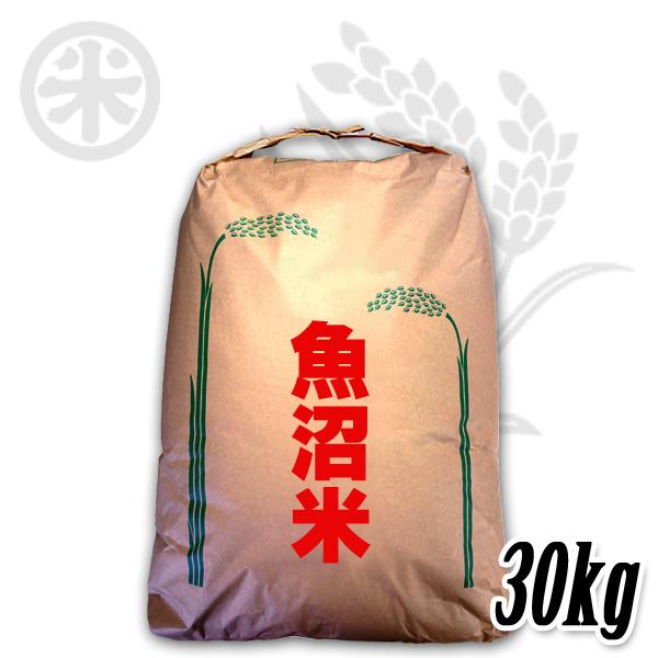 新潟産魚沼コシヒカリ 令和6年産 30kg玄米 コシヒカリ 新潟米 令和6年産 玄米 魚沼産コシヒカリ 30kg (5kg×6袋