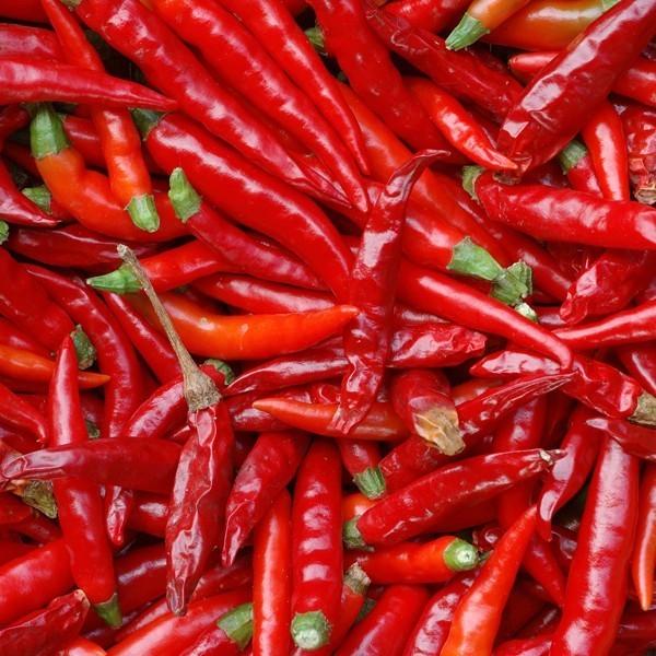 新潟 唐辛子 鬼殺しシリーズ 激辛 鬼七 50g 越後手造り 七味唐辛子 とうがらし 鷹の爪 旨辛唐辛子 越後唐辛子工房 大祐 有吉ゼミ マツコの知らない世界 09oni7 50 越後米蔵商店 通販 Yahoo ショッピング