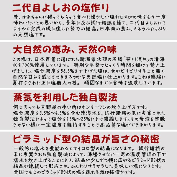 笹川流れの塩 昆布塩 180g (1〜5本までメール便可) チャック付スタンドパック 新潟 塩 天然塩 日本海の清海水 北海道昆布 こんぶ塩 塩工房えん 旧吉野屋｜echigoyonezo｜08