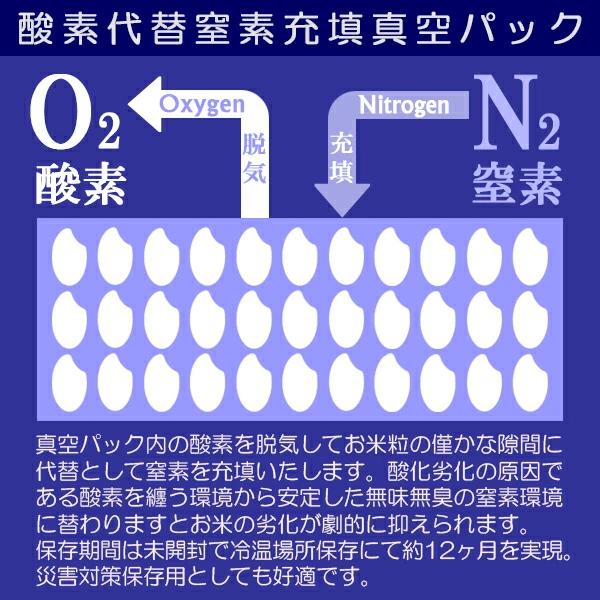 新之助（しんのすけ） 新潟米 令和7年産 無洗米 新潟産 真空ブリック