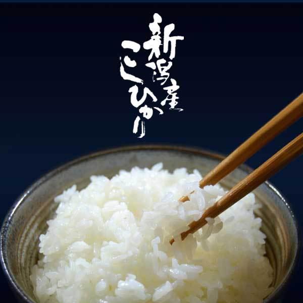 青い珊瑚　新米　新潟産コシヒカリ白米20kg コシヒカリ 新米 新潟県産 佐渡産 令和7年 玄米20kg 令和7年産