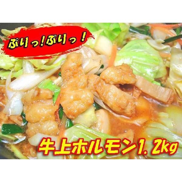 専門店秘伝の味 肉の日限定 激旨 牛味噌上ホルモン400ｇ｜echizennohorumonya｜02