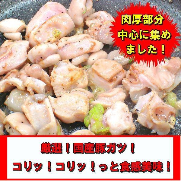 コリコリ塩ホルモン　400ｇ　肉の日　焼肉　ホルモン　B級グルメ お花見にも！｜echizennohorumonya｜02