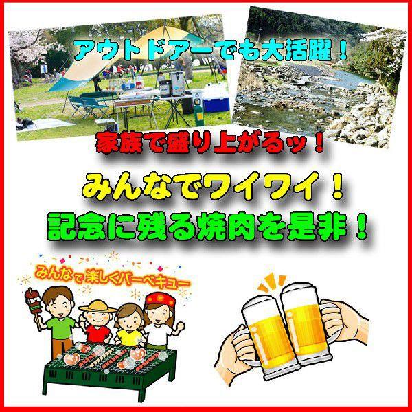 月に一度だけ 肉の日限定 専門店のホルモンお買い得セット 送料無料  お歳暮 牛ホルモン 豚ホルモン バーベキュー｜echizennohorumonya｜03