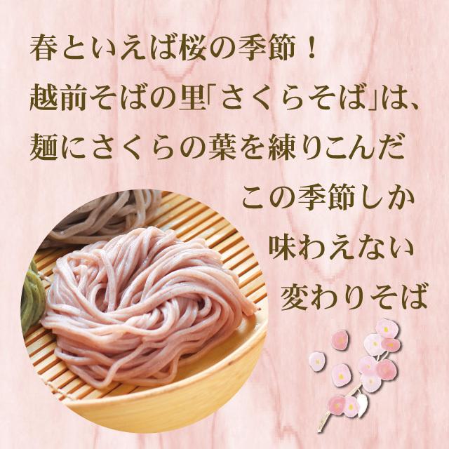 「春だより」この時期限定の変わりそば 春の香りと爽やかなよもぎの風味 お祝い 贈り物 ギフト 春 | 越前そばの里 | 01