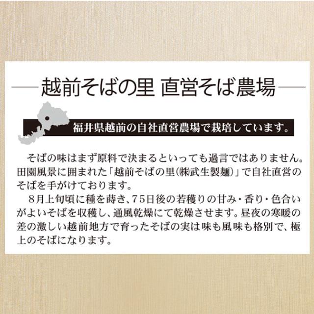 爆買 予約商品 2026年 収穫 新そば「新そば越前6食」五割 極上のこだわり蕎麦！ギフト お取り寄せ | 越前そばの里 | 02