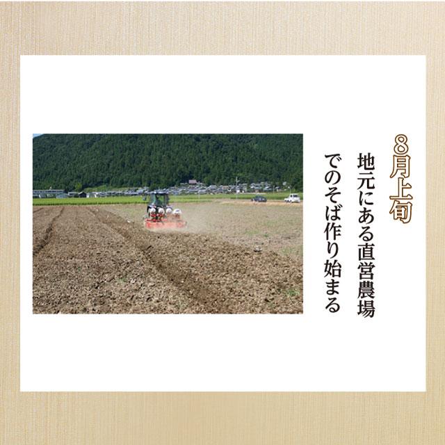爆買 予約商品 2026年 収穫 新そば「新そば越前6食」五割 極上のこだわり蕎麦！ギフト お取り寄せ | 越前そばの里 | 03