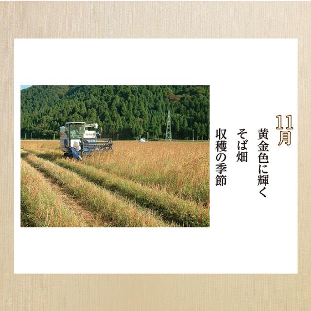 爆買 予約商品 2026年 収穫 新そば「新そば越前6食」五割 極上のこだわり蕎麦！ギフト お取り寄せ | 越前そばの里 | 06