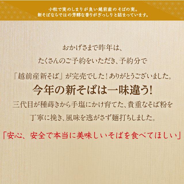 爆買 予約商品 2026年 秋収穫 新そば「新そば越前10食」五割 極上のこだわり蕎麦！ギフト お取り寄せ | 越前そばの里 | 01