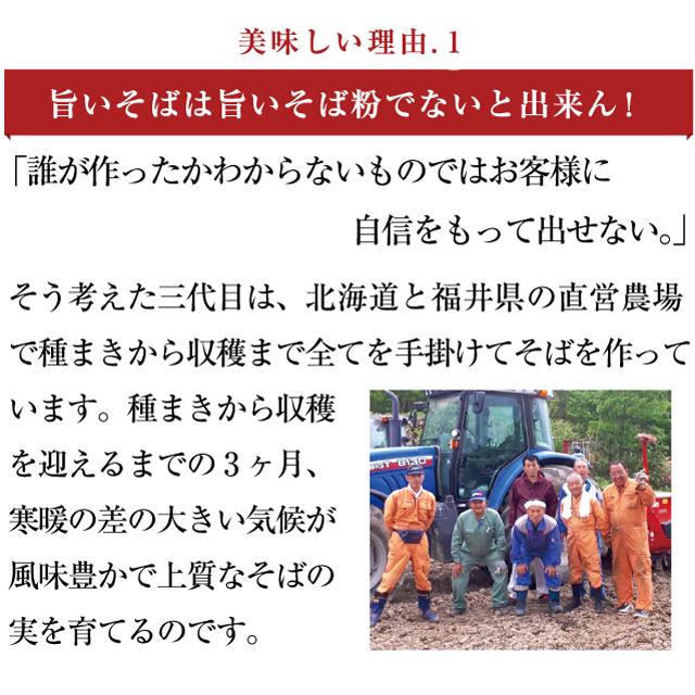 「直営産八割そば6食」優良配送 そば通は唸る！本物の味　直営農場産 八割そば  二八そば 越前そば セット | 越前そばの里 | 02