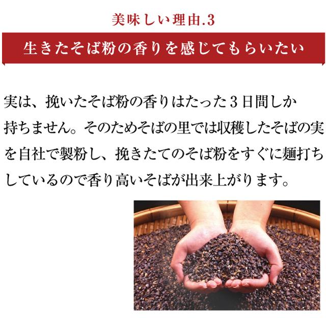 「直営産八割そば6食」優良配送 そば通は唸る！本物の味　直営農場産 八割そば  二八そば 越前そば セット | 越前そばの里 | 04