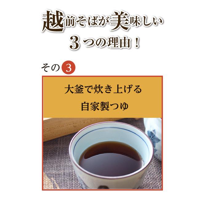 ドでかい「きつねそば」  名物 そば 蕎麦 お取り寄せ 越前そば 厚揚げ 具材付きそば |  | 09