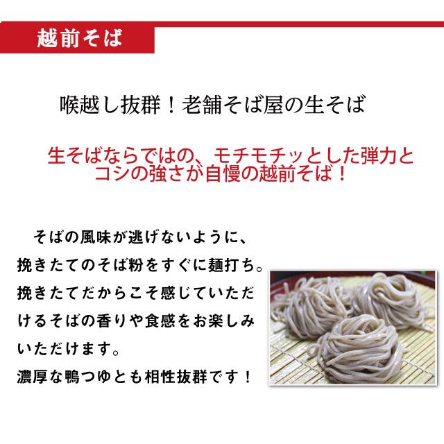 「鴨南蛮そば」ランキング入り  そば 蕎麦 お取り寄せ 越前そば 人気青森県産鴨肉付き！オリジナル ギフト | 越前そばの里 | 04
