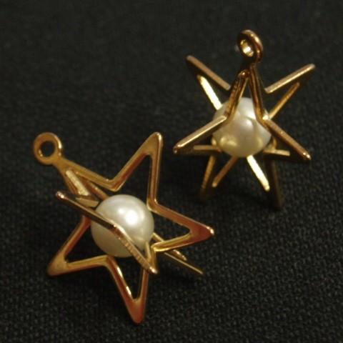 [CG005]カゴパール星（大） チャーム（CA17510） 2ケ[RPT] | 