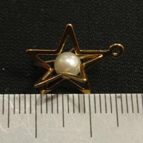 [CG005]カゴパール星（大） チャーム（CA17510） 2ケ[RPT] |  | 01