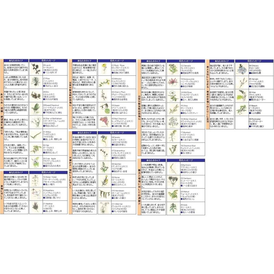 [UZ001]【送料無料】ヒーリングハーブス（全38種） フラワーエッセンス 2本セット[RPT] |  | 01