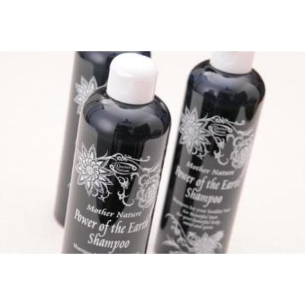 [UB001]【お得な3本セット】エドガーケイシー療法 マザーネイチャー大地の力シャンプー[RPT] の商品画像