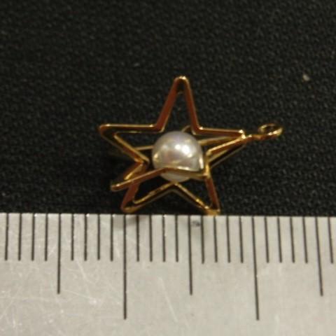 [CG005]カゴパール星（中） チャーム（CA17509） 4ケ[RPT] |  | 01