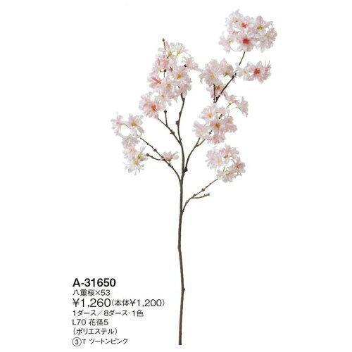 アスカ(Asca) Aー31650 八重桜X53#003T ツートンピンク (72-31650-3)