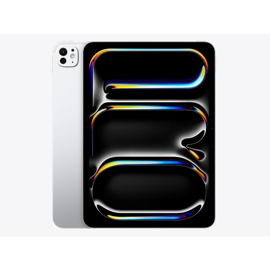 MVV93J/A APPLE iPad Pro iPadOS 17 11.0型（インチ） 2420×1668 Apple 