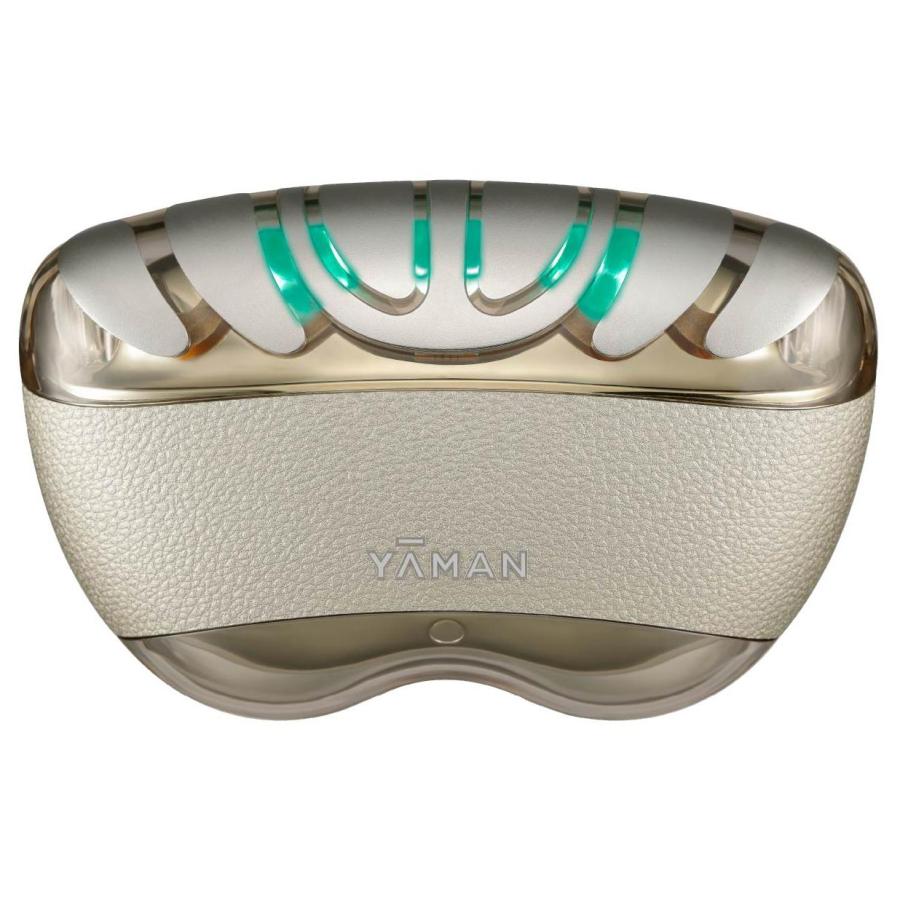 リフトロジーリフトケア特化型美顔器 [EMS美顔器 /国内・海外対応]