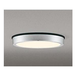 ODELIC オーデリック OG254812