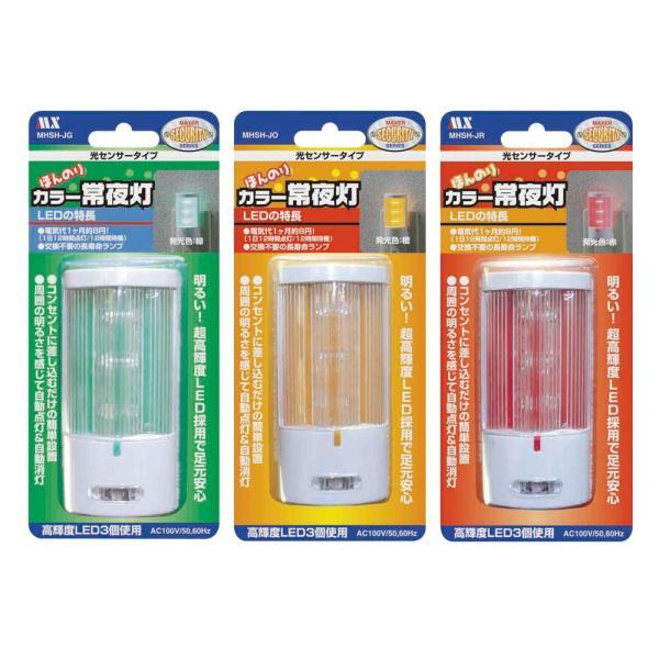 ニュービッグハウンド キャリー タイプII 10