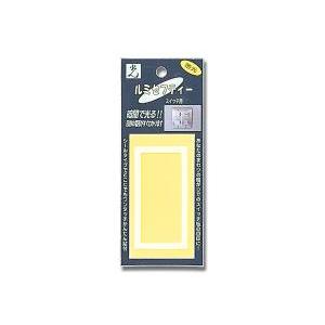 HIKARI 光 LS-10蓄光スイッチ用 大(1ケ入) : HJN ヤフー店 - 通販