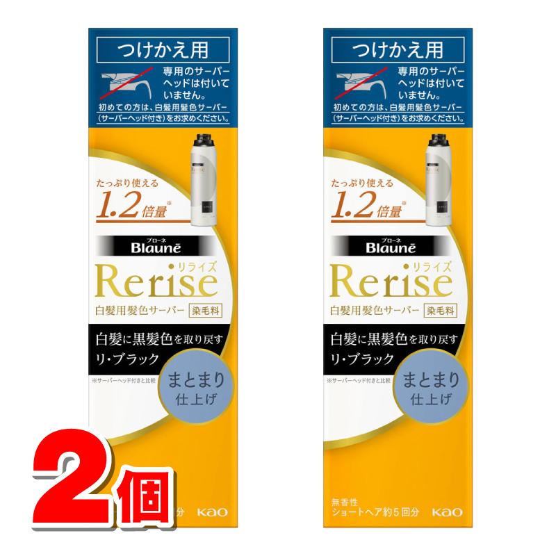 値下げ】花王Rerise 白髪染め 10個セットまとまり仕上げ詰替用