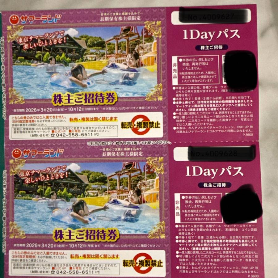 即時発送■東京サマーランド　株主ご招待券　2枚　１Dayパス　株主優待券(7,8月も利用可能）有効期限3月20日〜10月12日迄 | 
