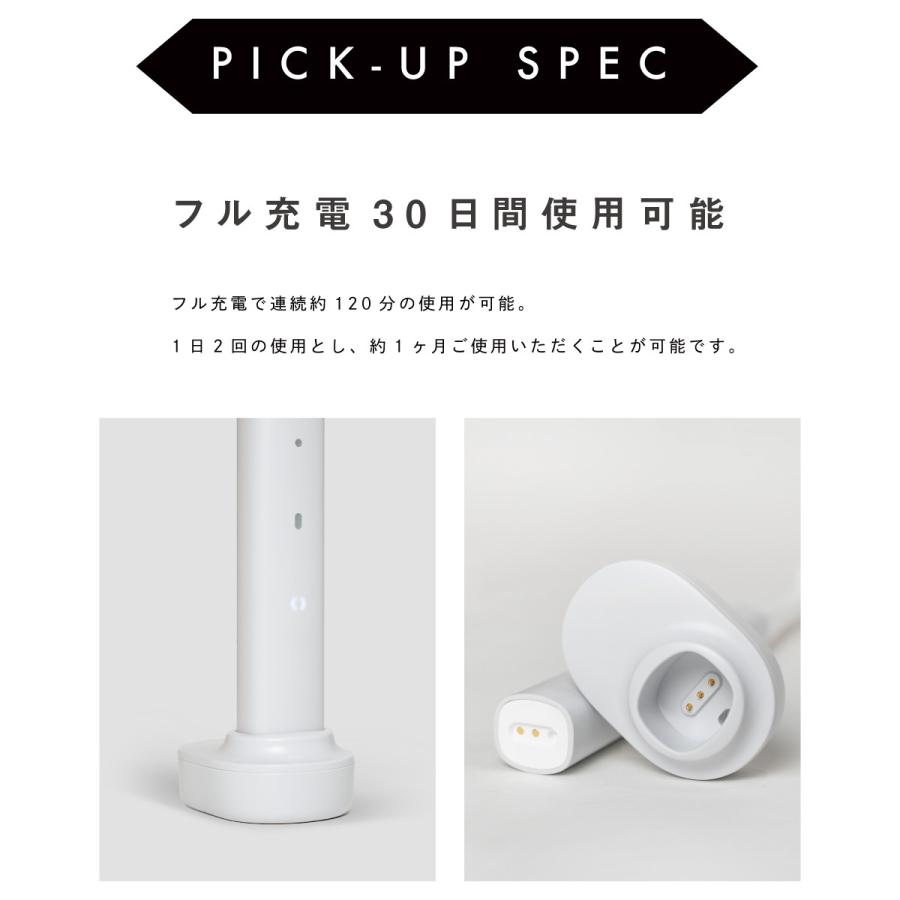 電動歯ブラシ 単体 電動ハブラシ 歯ブラシ はぶらし ハブラシ ホワイト