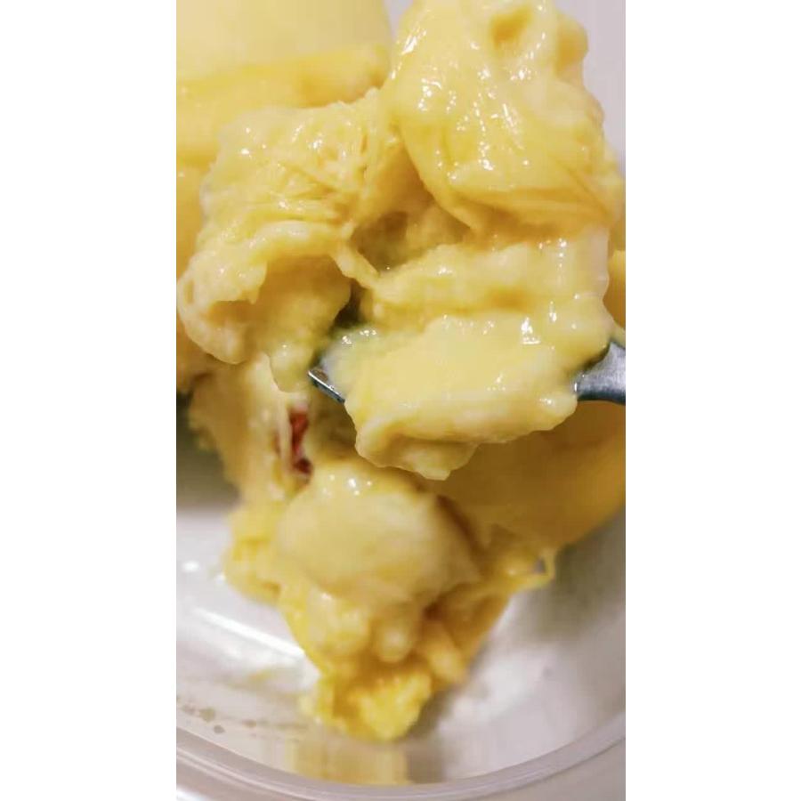 冷凍ドリアン durian Ri6ドリアン 500g×2Pセット クリーミー ベトナム