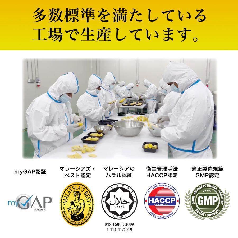 ムサンキング（D197）種 durian マレーシア産最上級ドリアン 猫山王