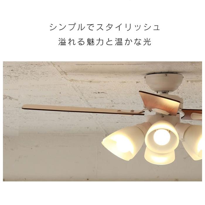 plus more plusmore プラスモア シーリングファン Windouble BIG-102 6