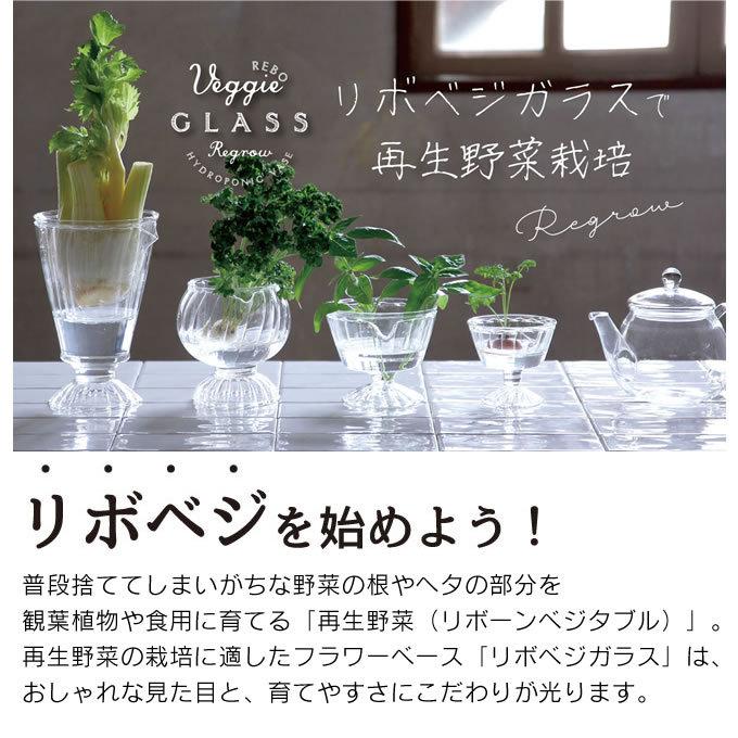 市場 Spice ガラスラウンドカップ 再生野菜 Life Of リボベジ