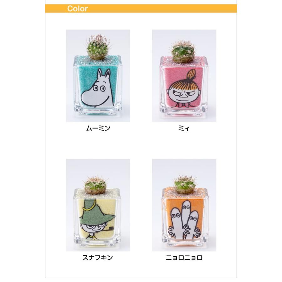 カラーサンド de ムーミン サボテン カラーサンドアート : エクリティ