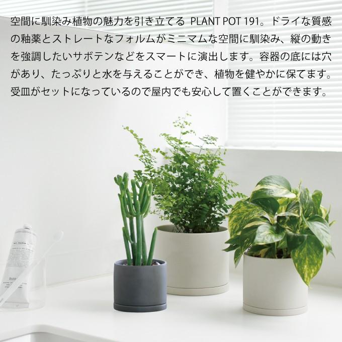 KINTO（キントー） プラントポット 191 13.5cm 植木鉢 : エクリティ