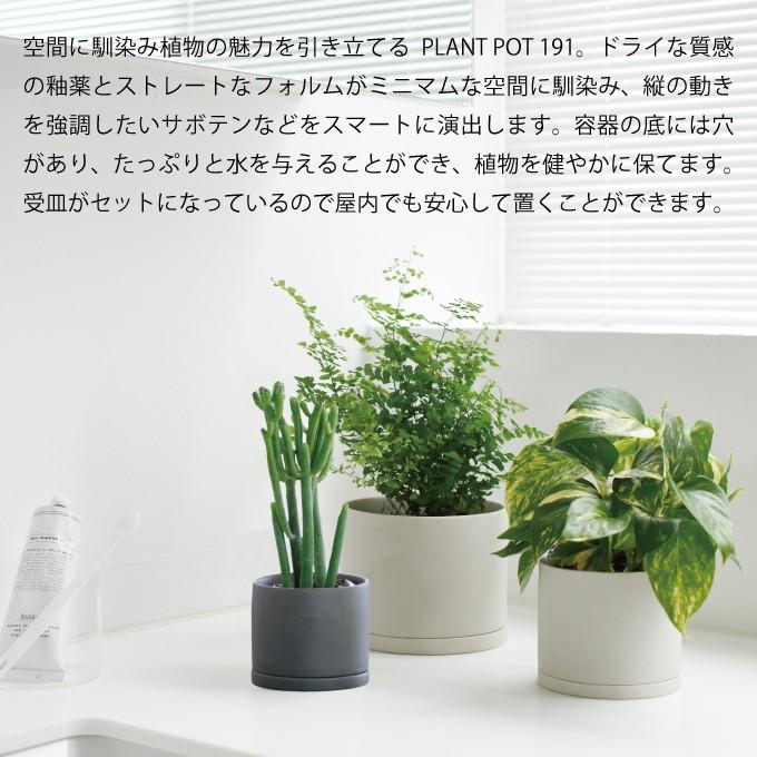 KINTO キントー プラントポット 191 10.5cm 植木鉢 : エクリティ