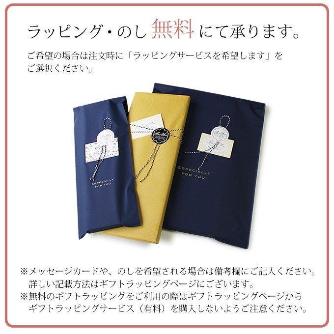 GLOBAL（グローバル） 包丁 牛刀 3点セット ステンレス 日本製 GST-B2