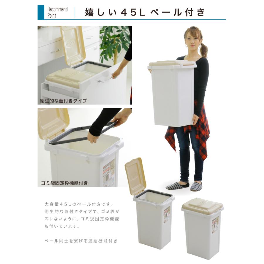 ゴミ箱 キッチン収納 ダストボックス 3分別 キッチンカウンター ゴミ箱 キッチン収納 ダストボックス 3分別 キッチンカウンター