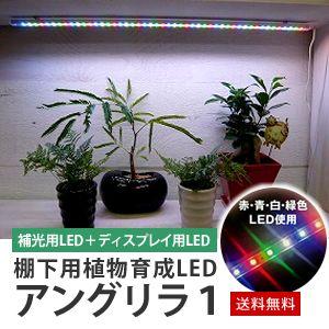 棚下用　植物育成LED　アングリラ1