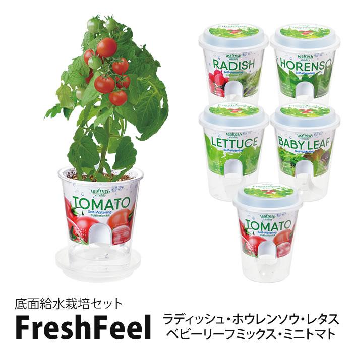 底面給水栽培セット 栽培セット Fresh Feel フレッシュフィール 家庭