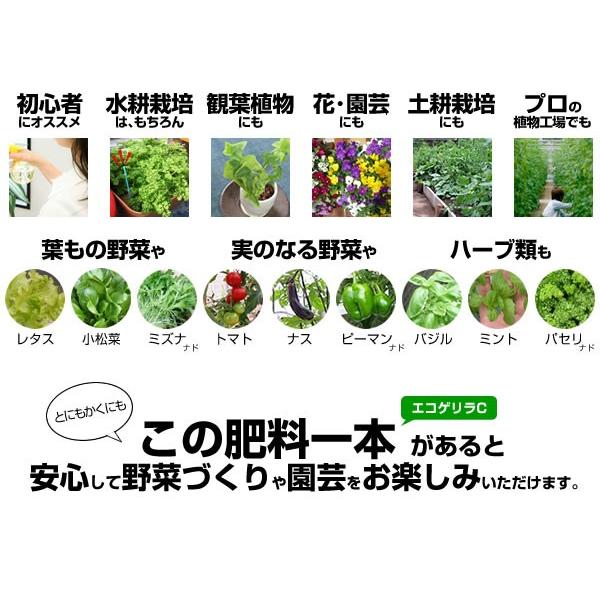 販売終了 リニューアル 水耕栽培 液体肥料 エコゲリラ 液肥 C 一液タイプ l 農家 植物工場 業務用 エコゲリラpro Ggec4 水耕栽培専門のエコゲリラヤフー店 通販 Yahoo ショッピング