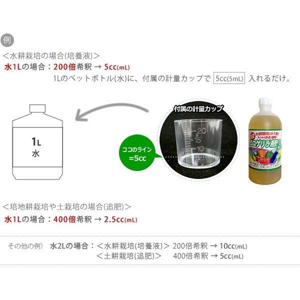 販売終了 リニューアル 水耕栽培 液体肥料 エコゲリラ 液肥 C 一液タイプ 500ml Gggec05 水耕栽培専門のエコゲリラヤフー店 通販 Yahoo ショッピング